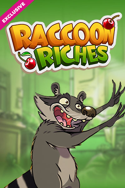 Raccoon Riches